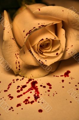 morbid valentine morbid valentine