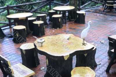 white bird on table in street cafe