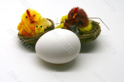 White egg with the chick White egg with the chick