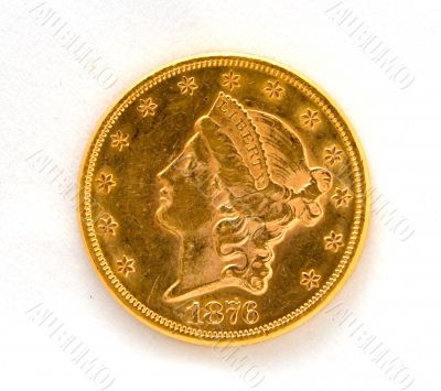 United States Historic Gold Coin