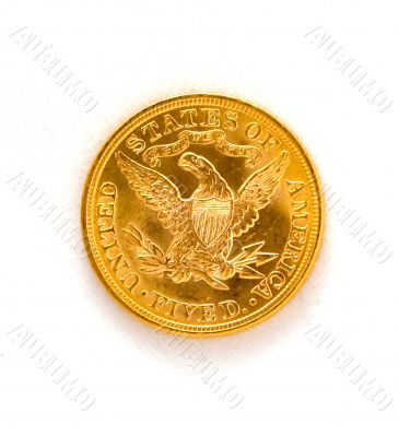 United States Historic Gold Coin