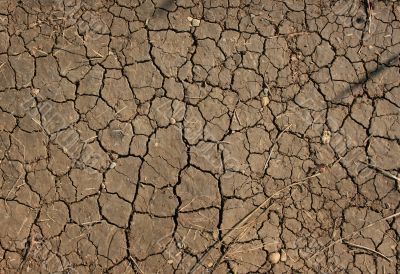 Dry Ground Dry Ground