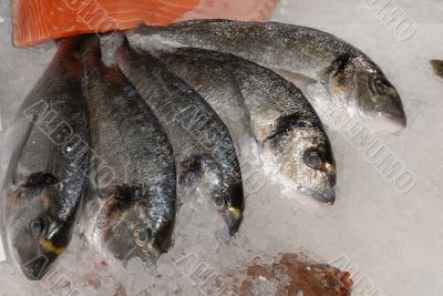 bream at fishmonger