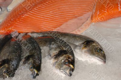 bream &amp; salmon on fishmonger slab