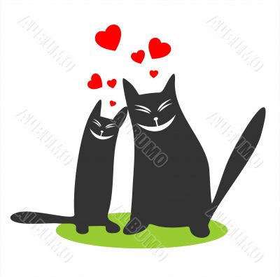 enamored black cats