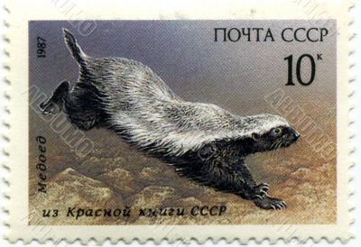 Stamps. Stamps.