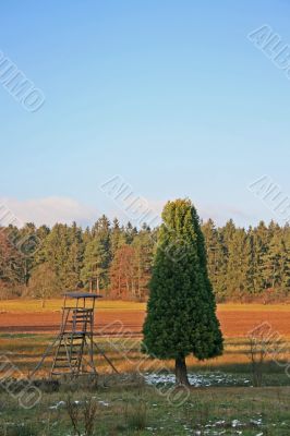 Hide with Fir