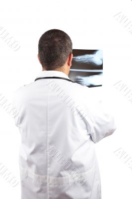 Male doctor examining x-ray