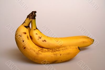 Bananas Bananas