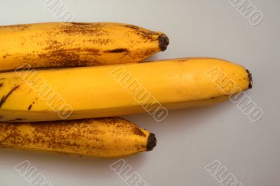 Bananas