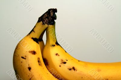 Bananas