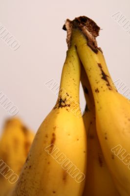 Bananas