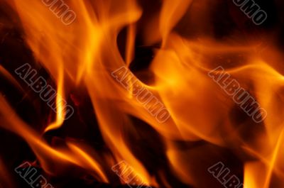 flames flames