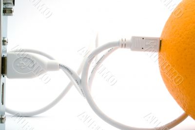The orange connected through usb cable The orange connected through usb cable