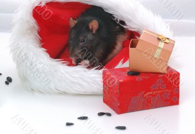tasty gifts