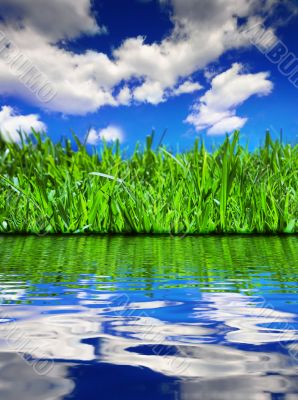 Summer reflections - vertical Summer reflections - vertical