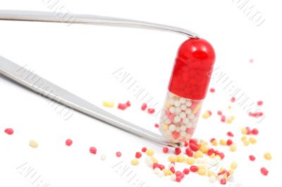 red capsule pill in tweezers isolated