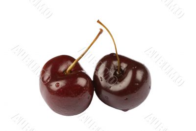 Ripe cherry