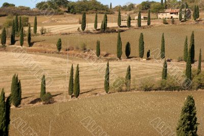 Tuscan landscape