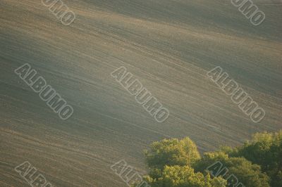 Empty fields Empty fields