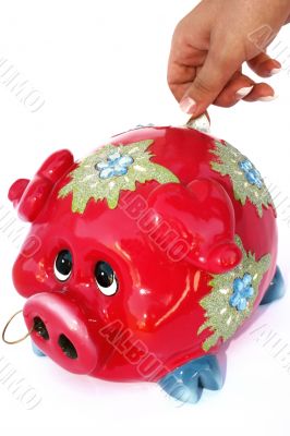 Piggy bank Piggy bank