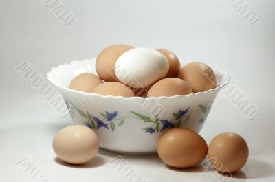  eggs1