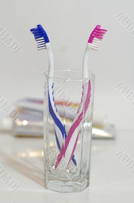 toothbrush3