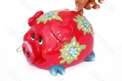 Piggy bank