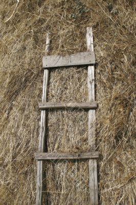 stairway and hay