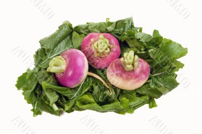Turnips on a Bed of Greens