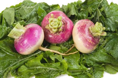 Turnips on a Bed of Greens