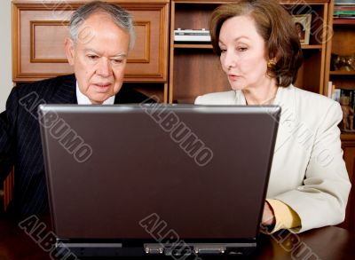 business senior couple on a laptop
