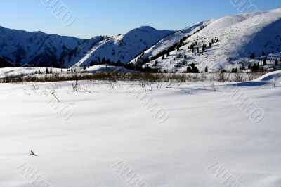 Altai Mountain with snow in winter