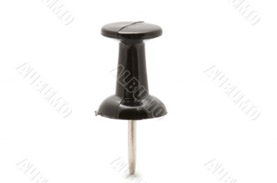 drawing pin