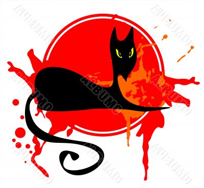Black cat in a red frame