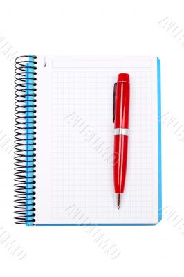 Blank notebook sheet with pen