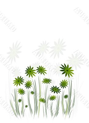 Floral background