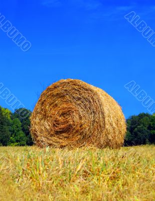 Bale of Hay in field