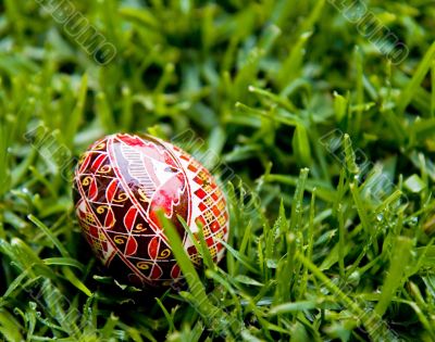 Shiny Easter Egg Shiny Easter Egg