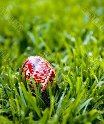 Bright hand-painted Easter Egg Bright hand-painted Easter Egg