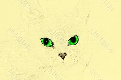 abstract background scene green eye of the cat