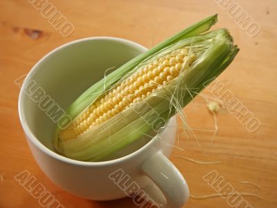 Fresh ears of corn