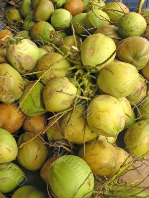 Green coconuts