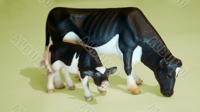 miniature cow and calf