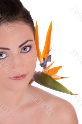 Tropical beauty Tropical beauty