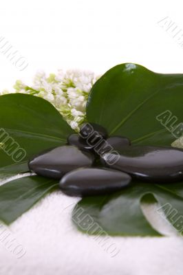 Wet hot stones Wet hot stones