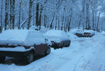 Snow covered cars parked along the road