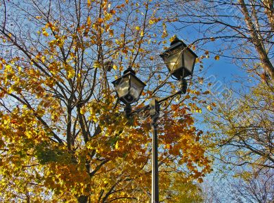 Street lantern against autumn leafs and blue sky