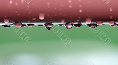 Water Drops Water Drops
