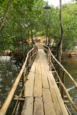 wooden pathway